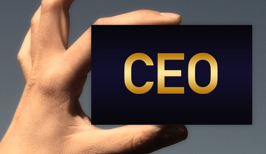 Diretor Executivo (CEO)