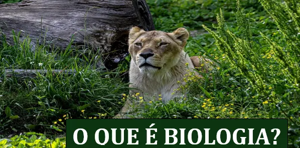 O QUE É BIOLOGIA?