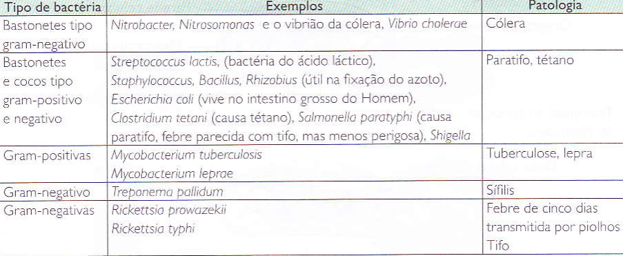 Principais Doenças Bacterianas