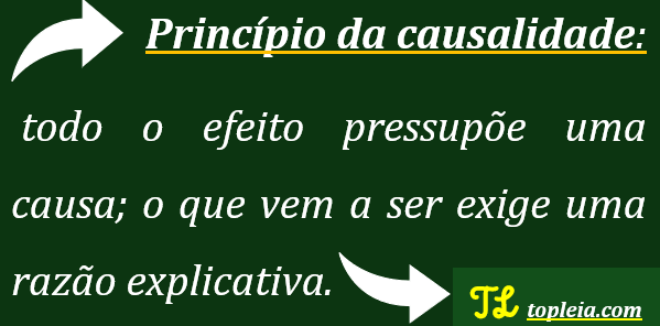 Princípio da causalidade