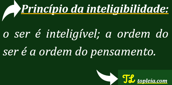 Compreendendo o Princípio da Princípio da inteligibilidade: o ser é inteligível