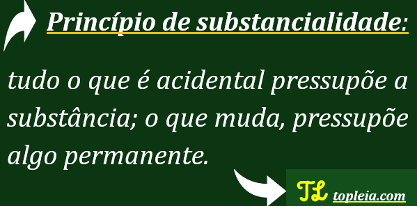 Princípio de substancialidade 