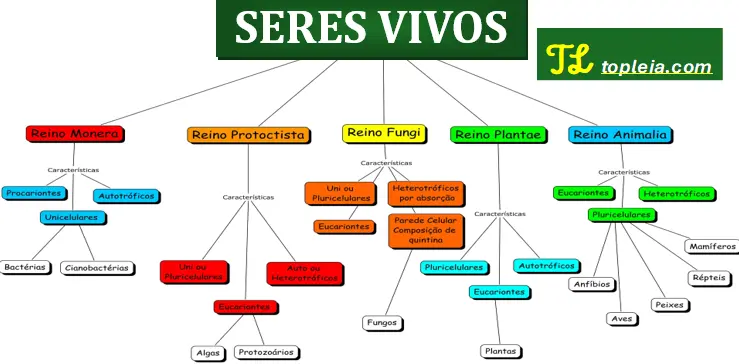 Sistemática - classificação dos seres vivos