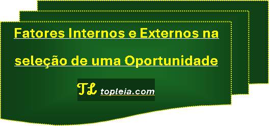 Fatores Internos e Externos na Seleção de uma Oportunidade