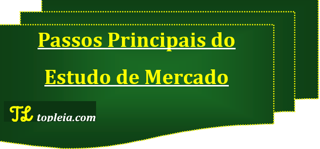 Passos Principais do Estudo de Mercado