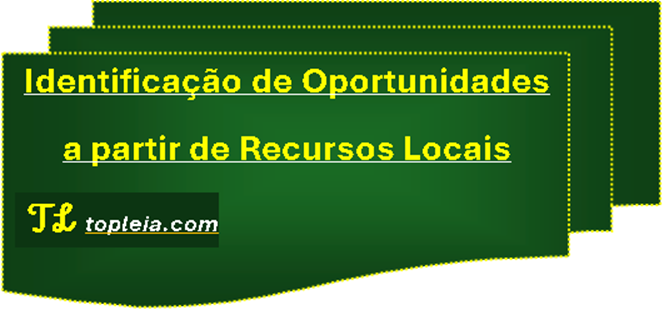 Identificação de Oportunidades a partir de Recursos Locais