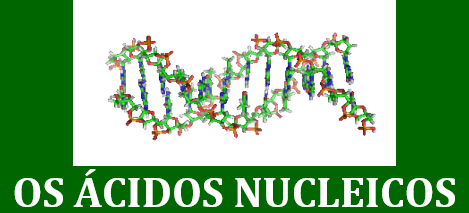 OS ÁCIDOS NUCLEICOS