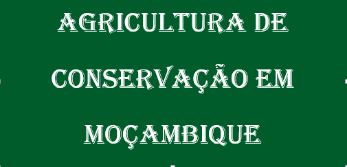 Agricultura de Conservação em Moçambique